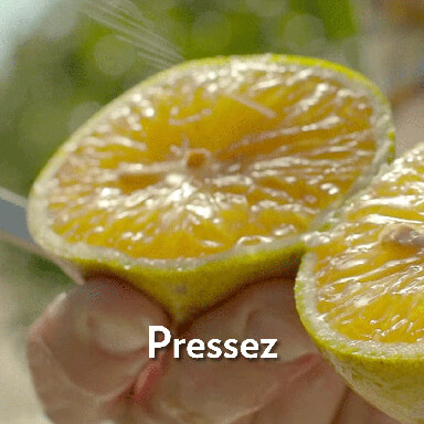 Pressez